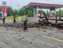 Pohon Tumbang Tutupi Jalan, Polsek Kayangan bersama Damkar Respon Cepat