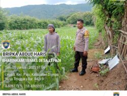 BKTM Desa Lepadi Pantau Lahan Jagung Warga untuk Dukung Program Ketahanan Pangan Nasional Menuju Indonesia Emas 2025