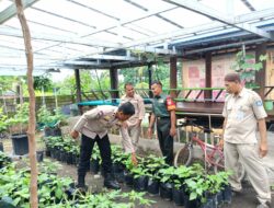 TNI-Polri Dan Stakeholder Dukung Program Pekarangan Bergizi di Loteng.