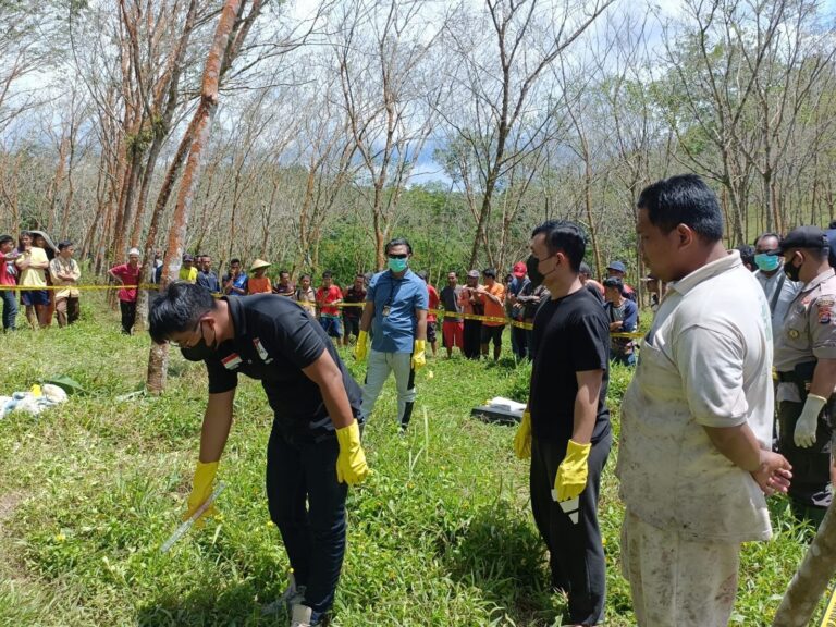 Polres Lebak Dalami Kasus Penemuan Mayat di Area Perkebunan Karet PT. Planting