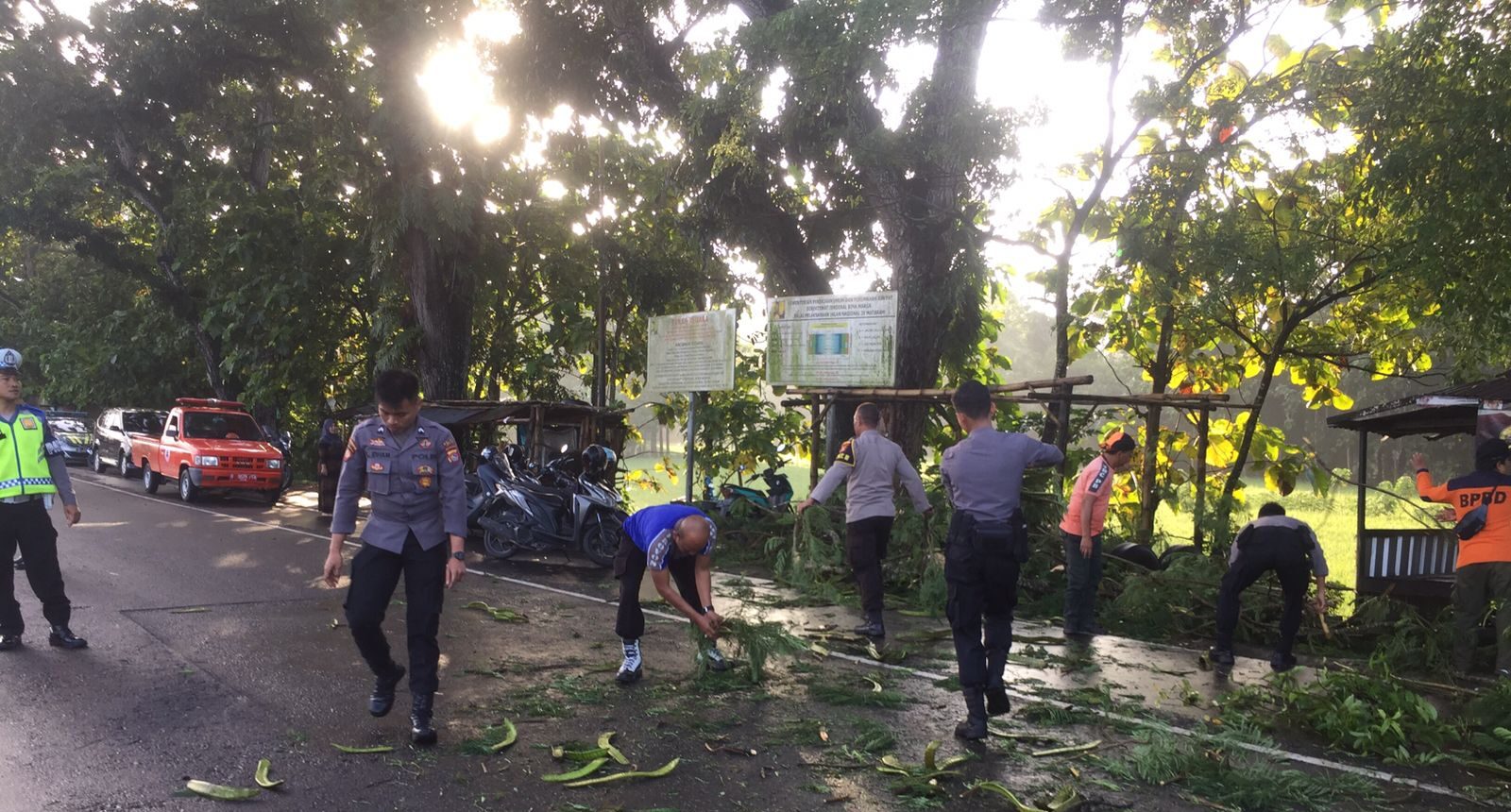 Polisi dan BPBD Lobar Evakuasi Pohon Tumbang di Jalan Imam Bonjol Gerung