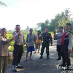 Polisi dan Warga yang Bersatu Padu Mengatasi Pohon Tumbang di Lombok Barat