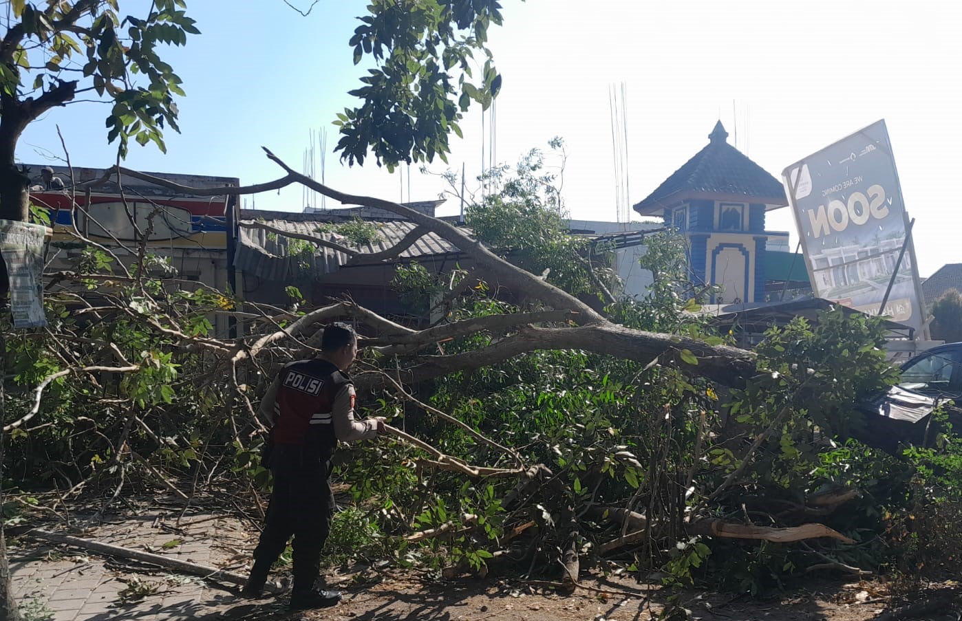 Polres Lombok Barat Respon Cepat Evakuasi Pohon Tumbang di Telagawaru Labuapi, Timpa Dua Ruko