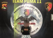 Tim Puma 2 Polres Bima Kota sukses Amankan Pelaku Pencurizn Dengan Pemberatan