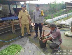 Petani Lombok Barat Buat Pestisida Nabati, Lebih Ramah Lingkungan!