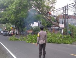 Sinergi Cegah Petaka: Polisi dan Warga Batulayar Amankan Jalan Senggigi