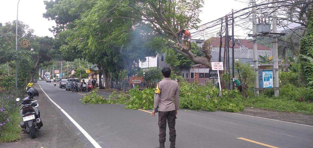 Antisipasi Bahaya, Polsek Batulayar Pangkas Pohon Rawan Tumbang