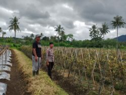 Bhabinkamtibmas Desa Kadindi Barat Lakukan Pemantauan Lahan untuk Program Ketahanan Pangan Nasional