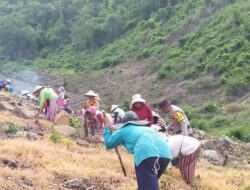 Dukung Program Asta Cita Presiden RI, Bhabinkabtibmas Polres Bima Kota Tanam Jagung dan Ubi untuk Ketahanan Pangan