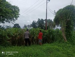 Polri Dukung Ketahanan Pangan: BKTM Desa Jambu Pantau Pengolahan Lahan Pertanian