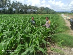 Sinergi Polri dan Masyarakat dalam Pengelolaan Lahan Pertanian Menuju Ketahanan Pangan