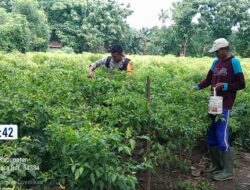 Bhabinkamtibmas Desa Jotang Laksanakan Sambang dan Pembinaan Petani Untuk Mendukung Ketahanan Pangan Nasional