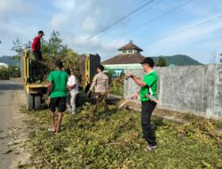 Bhabinkamtibmas Desa Belo Bersama Masyarakat Gotong Royong Sterilkan Jalan Bekas Tebang Pohon di Pinggir Jalan Raya