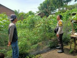 Polri Dukung Program Ketahanan Pangan Nasional di Desa Nangamiro