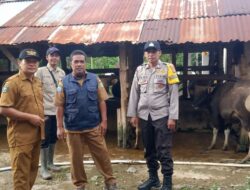 Bhabinkamtibmas Kelurahan Penaraga Monitoring Vaksinasi PMK oleh Dinas Pertanian dan Perternakan Kota Bima