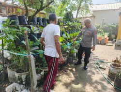 Polres Loteng Galakkan Program Perkarangan Bergizi Kepada Masyarakat