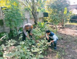 Polres Loteng Apresiasi Masyarakat Manfaatkan Lahan Pekarangan Bergizi Dukung Ketahanan Pangan Nasional