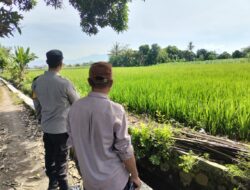 Sinergi Polri dan Petani: Wujudkan Ketahanan Pangan di Labuapi