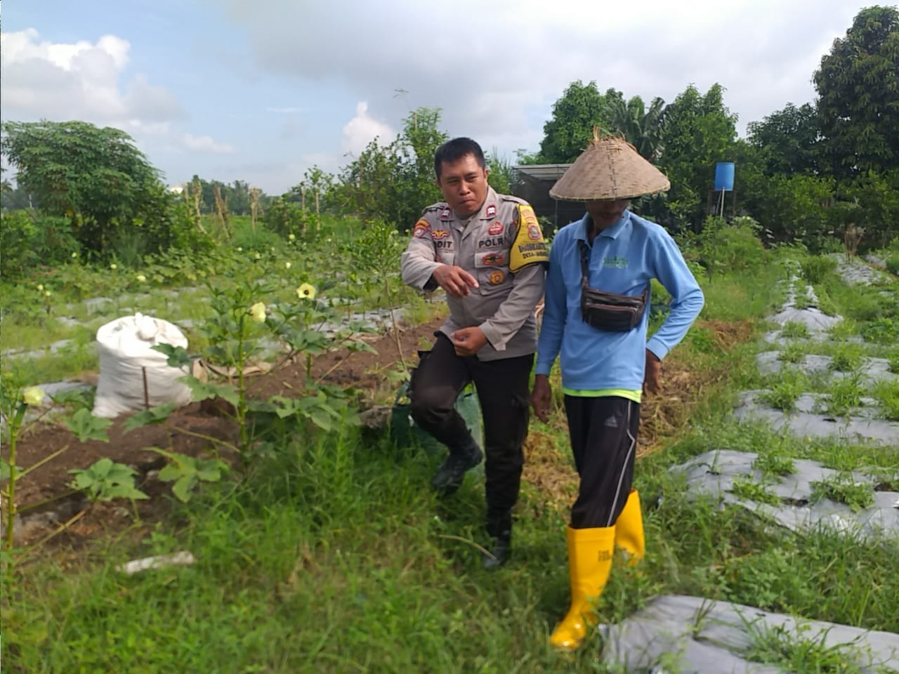 Bhabinkamtibmas Desa Jagaraga Aktif Sosialisasi Ketahanan Pangan, Warga Antusias Menyambut