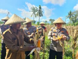 Kapolres Lombok Barat Tinjau Kesiapan Panen Raya Jagung