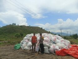 Bhabinkamtibmas Desa Riwo pantau panen jagung dalam mendukung program ketahanan pangan nasional menuju Indonesia Emas 2045