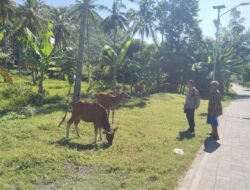 Bhabinkamtibmas Batulayar Barat Dorong Pemanfaatan Pekarangan untuk Ketahanan Pangan