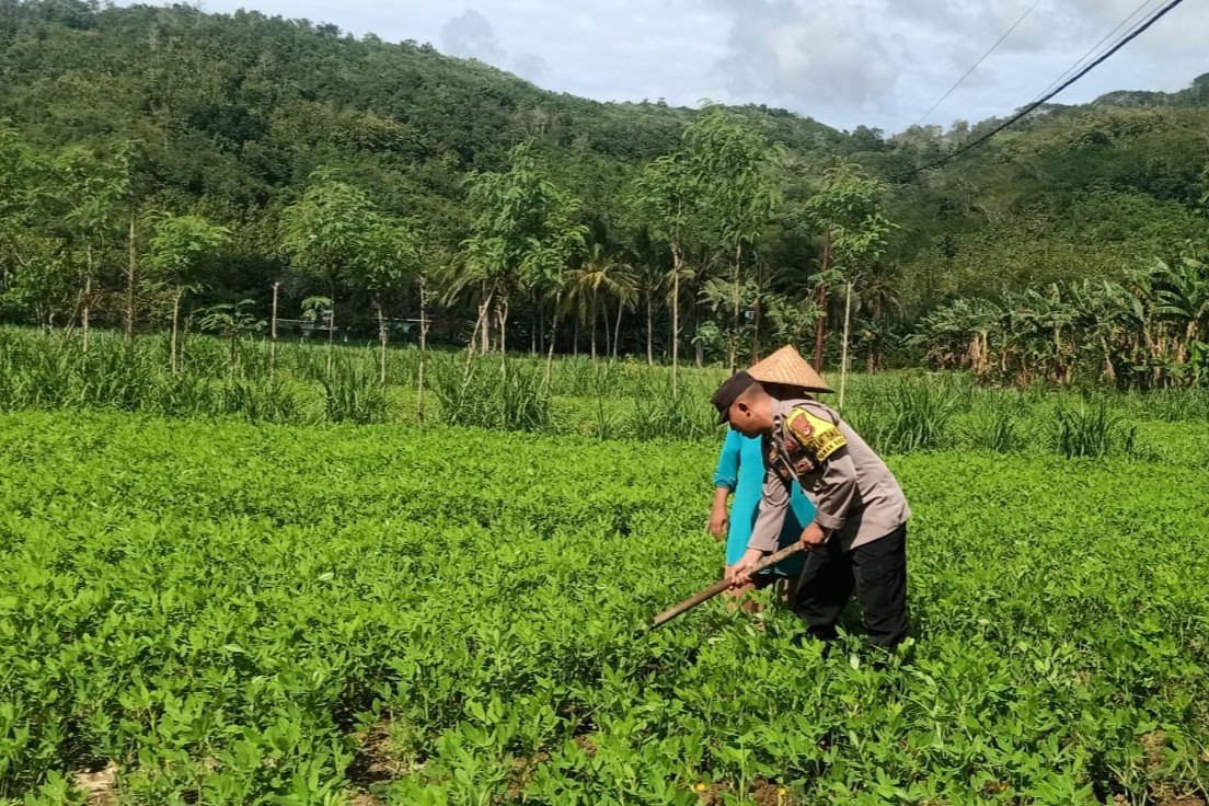 Optimalisasi Pekarangan: Peran Aktif Bhabinkamtibmas