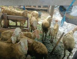 Sinergi Polri dan Warga Desa Beleka: Wujudkan Ketahanan Pangan dan Keamanan Sosial