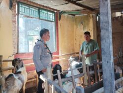 Bhabinkamtibmas Polsek Batulayar Sosialisasikan Pemanfaatan Lahan Pekarangan untuk Ketahanan Pangan