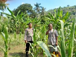 Peran Bhabinkamtibmas dalam Ketahanan Pangan di Desa Senggigi