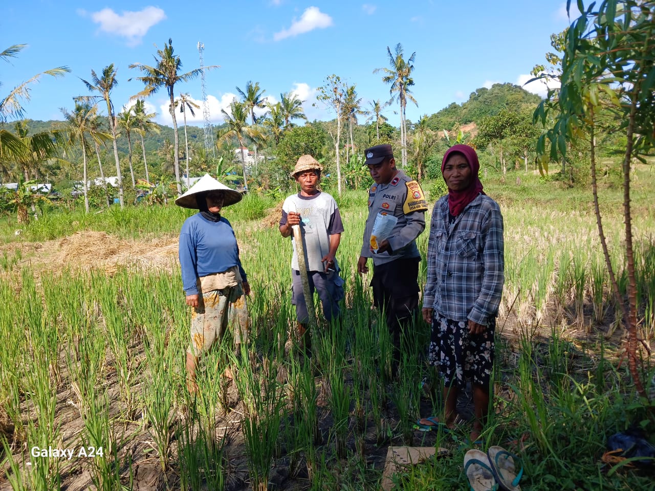 Bhabinkamtibmas Desa Giri Tembesi Berikan Motivasi dan Saran Pertanian kepada Petani