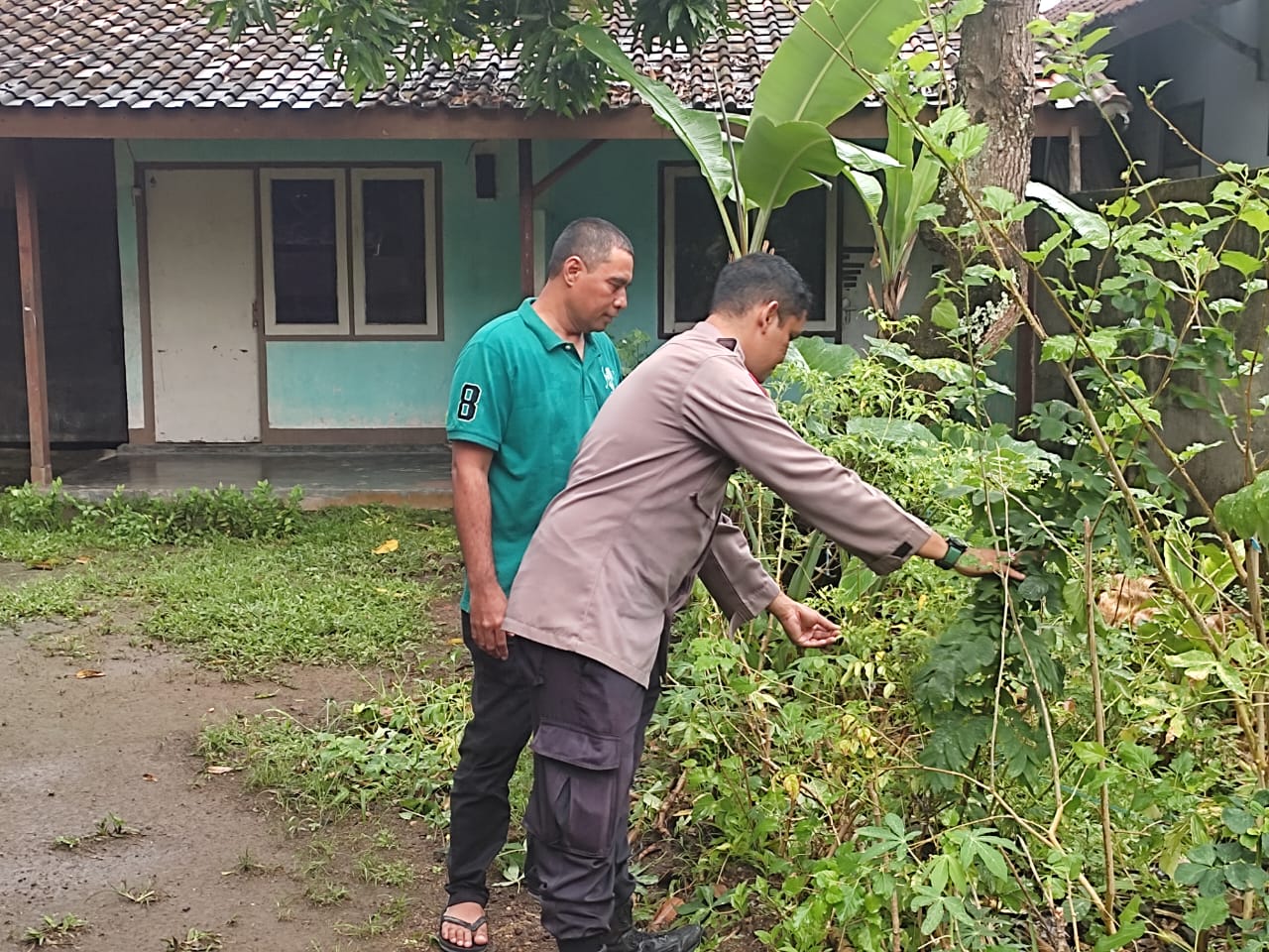 Dukung Ketahanan Pangan, Warga Desa Kuranji Dalang Tanam Sayuran di Pekarangan