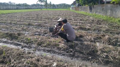 Bhabinkamtibmas Desa Kuripan Beri Motivasi Pemanfaatan Pekarangan untuk Ketahanan Pangan