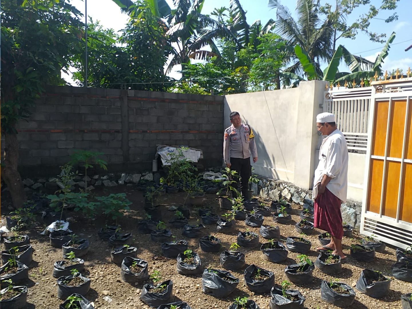 Polsek Kuripan Aktif Sosialisasi Ketahanan Pangan di Lombok Barat