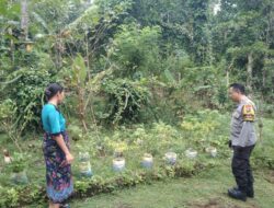 Polsek Batulayar Dorong Kemandirian Pangan Lewat Pemanfaatan Lahan Pekarangan