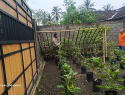 Polsek Kuripan Dukung Ketahanan Pangan dengan Sosialisasi Tanaman Pangan di Lombok Barat