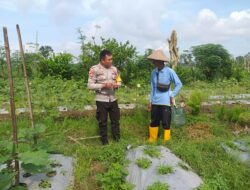 Bhabinkamtibmas Desa Jagaraga Sosialisasikan Ketahanan Pangan Melalui Kunjungan Warga