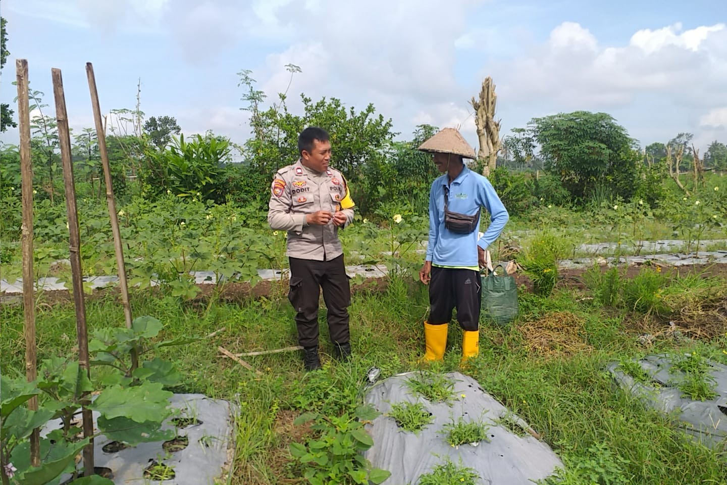 Optimalisasi Lahan untuk Ketahanan Pangan: Langkah Nyata Polri di Lombok Barat