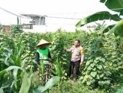 Polsek Labuapi Dorong Kemandirian Pangan Lewat Pemanfaatan Pekarangan