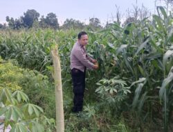 Sinergi Polisi dan Petani: Jaga Kamtibmas dan Ketahanan Pangan