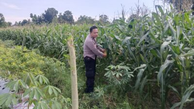 Sinergi Polisi dan Petani: Jaga Kamtibmas dan Ketahanan Pangan