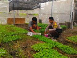 Polsek Kuripan Perkuat Ketahanan Pangan Lewat Pemanfaatan Lahan Produktif