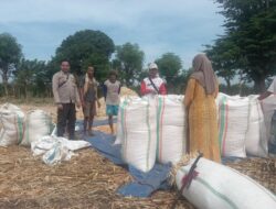 Pemantauan hasil panen warga Desa Serakapi dalam mendukung Program Ketahanan Pangan Nasional menuju Indonesia Emas 2045