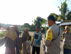 Dorong Ketahanan Pangan, Bhabinkamtibmas Karamabura Dampingi Petani dalam Proses Penjemuran Jagung untuk Bulog