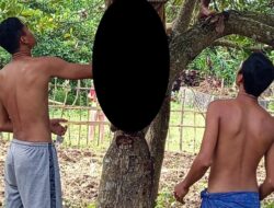 Pria di Sekotong Ditemukan Tewas Gantung Diri di Pohon Jambu Mete