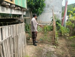 Asta Cita Swasembada Pangan, Bhabinkamtibmas Desa Beru Aktif Monitoring Ketahanan Pangan Desa