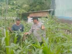 Bhabinkamtibmas Desa Mantun Aktif Monitoring Pengelolaan Pekarangan Pangan Bergizi