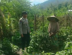 Polres Lombok Barat Dukung Ketahanan Pangan Lewat Pendampingan Petani
