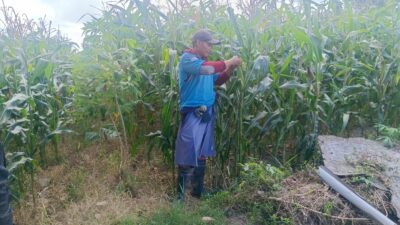 Polri Dukung Ketahanan Pangan di Desa Beleka Lombok Barat