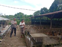 Bhabinkamtibmas Dorong Ketahanan Pangan di Dusun Merembu Tengah